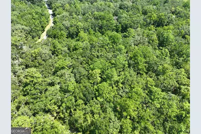Lot 50 Tar Flower Trail, Waverly, GA 31565 - Photo 19