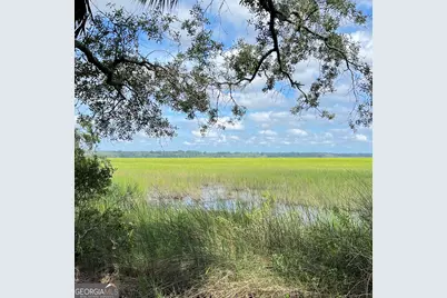 7211 Blythe Island Highway, Brunswick, GA 31523 - Photo 53