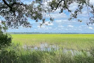 7211 Blythe Island Hwy, Brunswick, GA 31523 - Photo 53