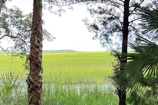 7211 Blythe Island Hwy, Brunswick, GA 31523 - Photo 61