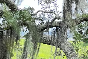 7211 Blythe Island Hwy, Brunswick, GA 31523 - Photo 53