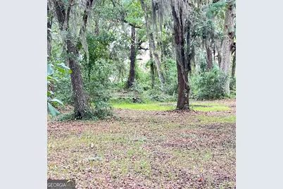 7211 Blythe Island Highway, Brunswick, GA 31523 - Photo 65