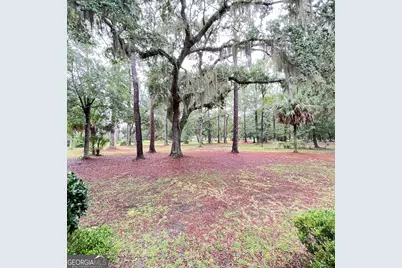 7211 Blythe Island Highway, Brunswick, GA 31523 - Photo 49