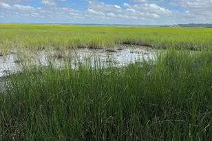 7211 Blythe Island Hwy, Brunswick, GA 31523 - Photo 55