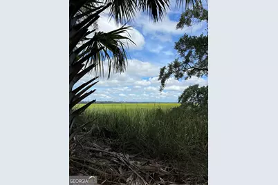 7211 Blythe Island Highway, Brunswick, GA 31523 - Photo 59