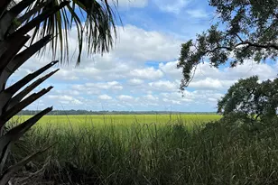 7211 Blythe Island Hwy, Brunswick, GA 31523 - Photo 59