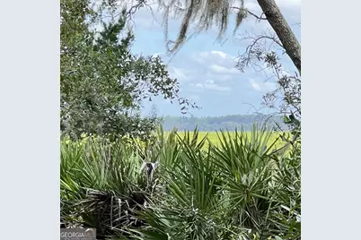 7211 Blythe Island Highway, Brunswick, GA 31523 - Photo 9