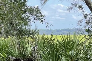 7211 Blythe Island Hwy, Brunswick, GA 31523 - Photo 9