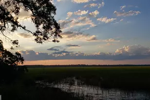 7211 Blythe Island Hwy, Brunswick, GA 31523 - Photo 9