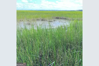 7211 Blythe Island Highway, Brunswick, GA 31523 - Photo 55