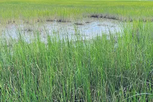 7211 Blythe Island Hwy, Brunswick, GA 31523 - Photo 55