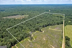 Lot 7 Mayfield Rd, Flovilla, GA 30216 - Photo 3