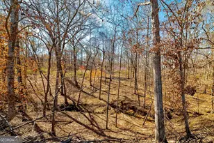 Lot 7 Mayfield Rd, Flovilla, GA 30216 - Photo 1