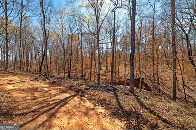 Lot 7 Mayfield Road, Flovilla, GA 30216 - Photo 5