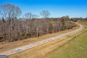 Lot 4 Mayfield Rd, Flovilla, GA 30216 - Photo 5