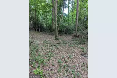 2773 River Road, Ellenwood, GA 30294 - Photo 3