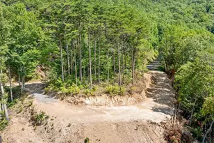 4404 Hwy 52, Chatsworth, GA 30705 - Photo 13