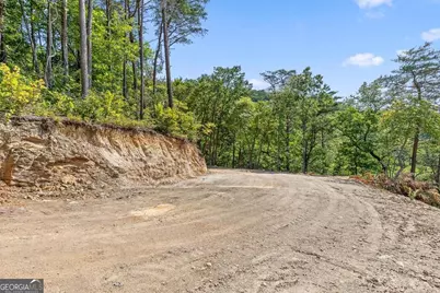 4404 Hwy 52, Chatsworth, GA 30705 - Photo 3