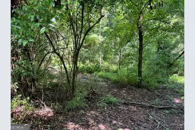 127 South Ole Hickory Trail, Carrollton, GA 30117 - Photo 1