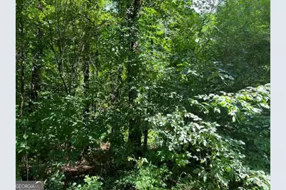 127 South Ole Hickory Trail, Carrollton, GA 30117 - Photo 3