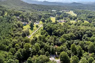 311 Deerwood Trail Rd, Blairsville, GA 30512 - Photo 87