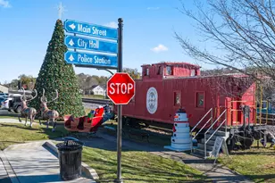 6737 Leigh St, Flowery Branch, GA 30542 - Photo 101