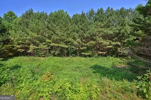 939 Pike Forest Dr, Lawrenceville, GA 30045 - Photo 31