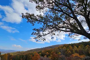 790 Mining Gap Conn, Young Harris, GA 30582 - Photo 23