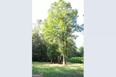 1224 Walker Road, Madison, GA 30650 - Photo 49