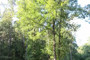 1224 Walker Rd, Madison, GA 30650 - Photo 49