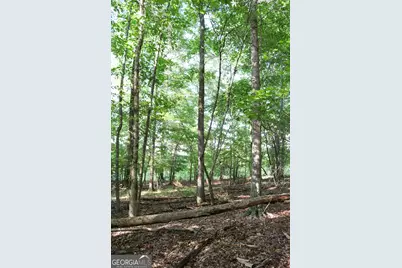 1224 Walker Road, Madison, GA 30650 - Photo 47