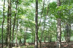 1224 Walker Rd, Madison, GA 30650 - Photo 47