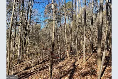 1009 Canton Highway, Cumming, GA 30040 - Photo 9