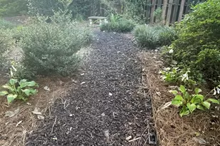 1320 Katie Ln, Watkinsville, GA 30677 - Photo 33