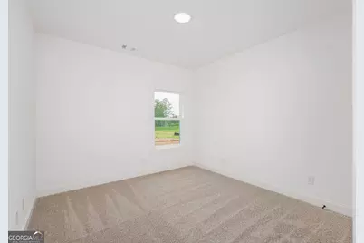 46 Millie Trail, Williamson, GA 30292 - Photo 39