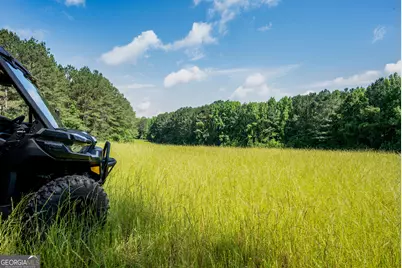 2720 Doster Road, Madison, GA 30650 - Photo 51