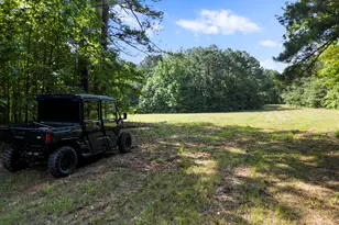 2720 Doster Rd, Madison, GA 30650 - Photo 57