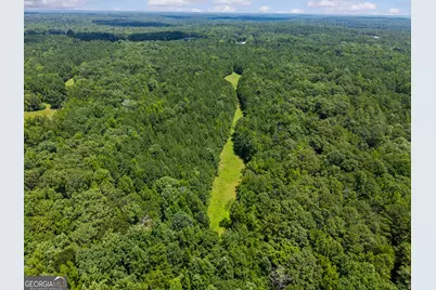 2720 Doster Road, Madison, GA 30650 - Photo 55