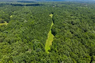 2720 Doster Rd, Madison, GA 30650 - Photo 55