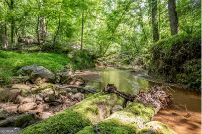 2720 Doster Road, Madison, GA 30650 - Photo 47