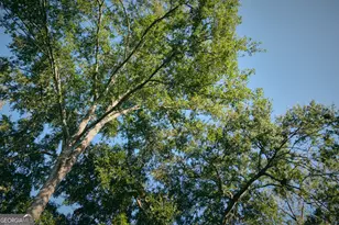 417 Howell St, Thomaston, GA 30286 - Photo 63