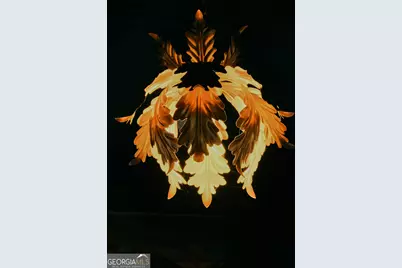 417 Howell Street, Thomaston, GA 30286 - Photo 55