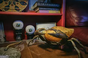 417 Howell St, Thomaston, GA 30286 - Photo 51