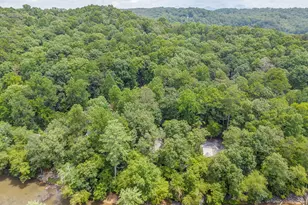 648 Novena Ct, Ellijay, GA 30540 - Photo 55