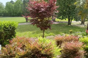 670 Cedar Grove Church Rd, Jefferson, GA 30549 - Photo 61