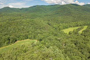 2970 Sky Lake Rd, Sautee Nacoochee, GA 30571 - Photo 59