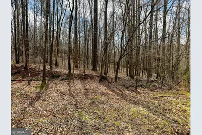 90 +/- Acres English Road, Forsyth, GA 31029 - Photo 39