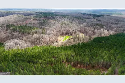 90 +/- Acres English Road, Forsyth, GA 31029 - Photo 19