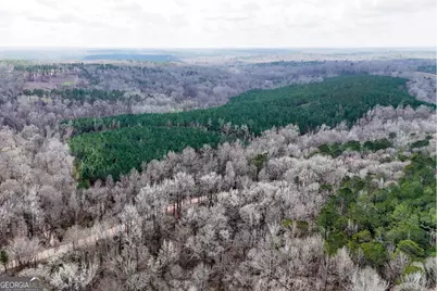 90 +/- Acres English Road, Forsyth, GA 31029 - Photo 15