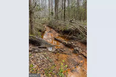 90 +/- Acres English Road, Forsyth, GA 31029 - Photo 5